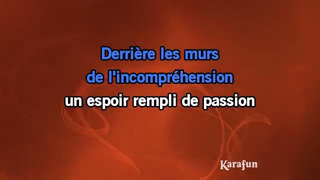 Johnny Hallyday - La génération perdue KARAOKE / INSTRUMENTAL