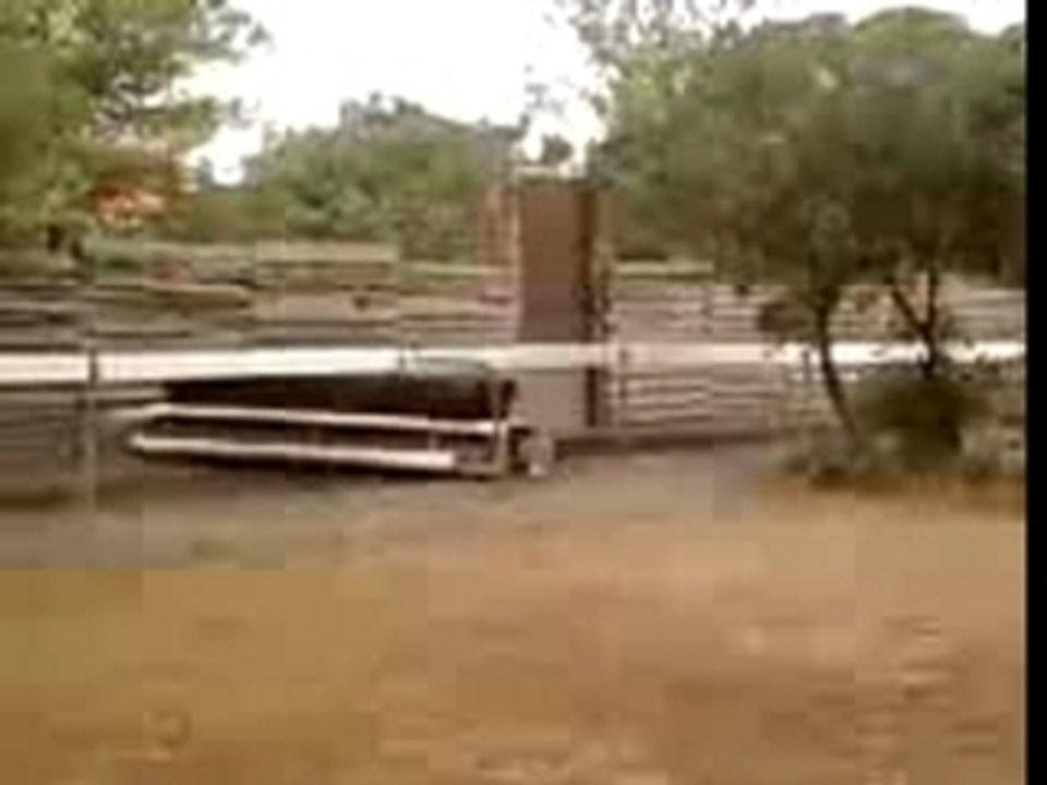 moi