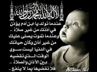 (¯`°-» .oO°Zine°Oo. «-°'¯)