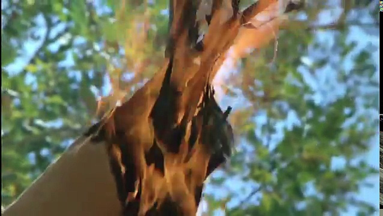 Kung Fu: On Revenge (With a Young Don Johnson)