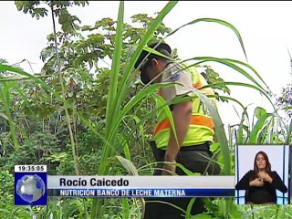 Arrancó semana de la lactancia materna