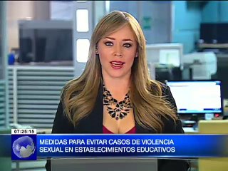 Medidas para evitar casos de violencia sexual en establecimientos educativos2