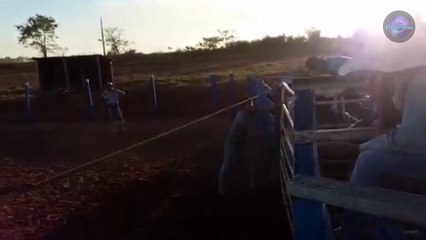 Teenage Bull Rider Kicked In Head By Bull