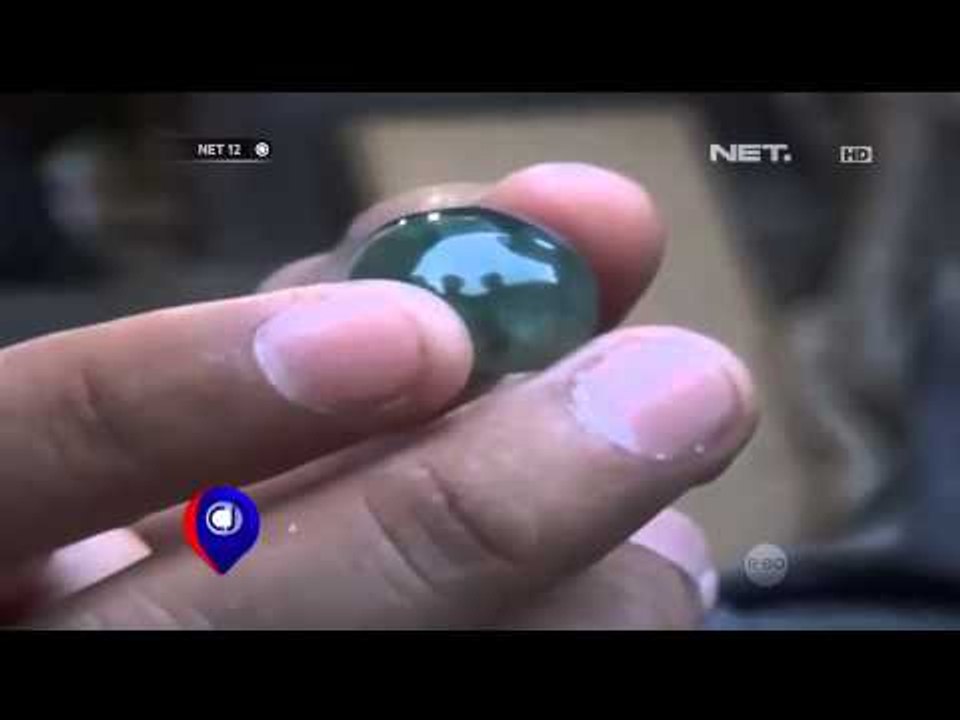 Batu Akik Lidah Buaya Asal Palu - NET12