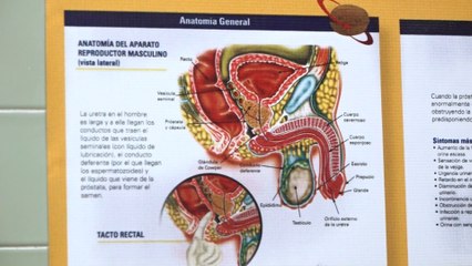 Castrados por cáncer de próstata