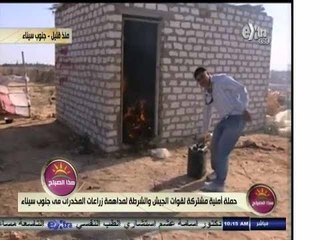 #هذا_الصباح | مداهمة لوكر أحد تجار المخدرات بجنوب سيناء