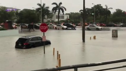 Heavy rains flood Miami streets