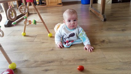 Merlin et la tomate Version longue