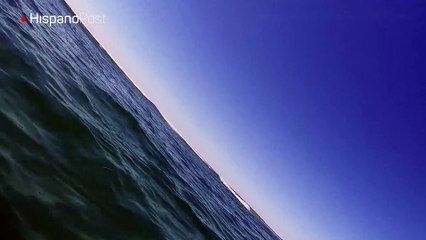 Un penoso tiburón blanco quiso comerse una cámara