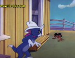 حصريا جميع حلقات كارتون - توم وجيري Tom and Jerry حلقة -82-