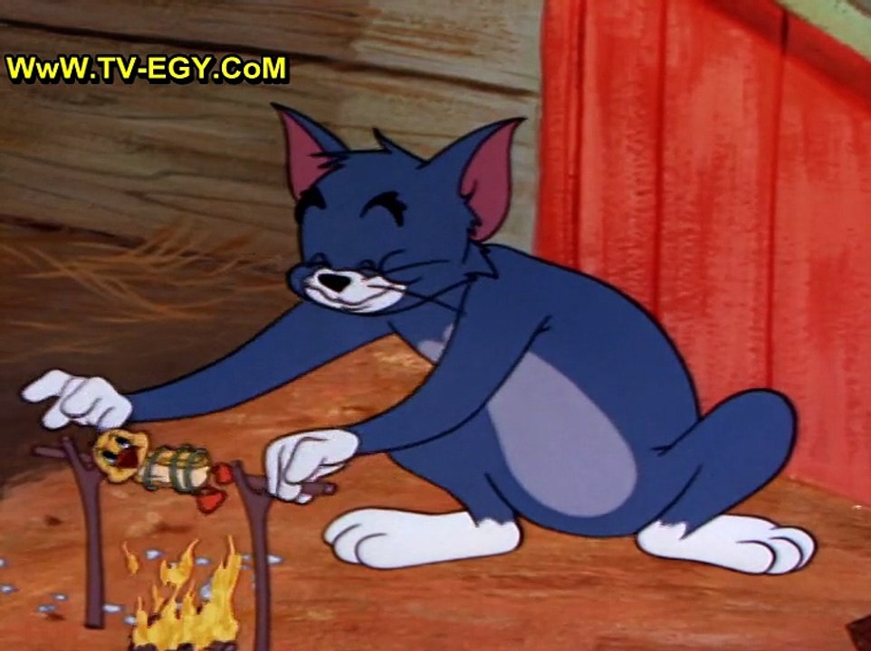 حصريا جميع حلقات كارتون - توم وجيري Tom and Jer...