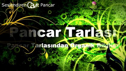 Gizlenen Türk Piramitleri Hakkında Bilgiler