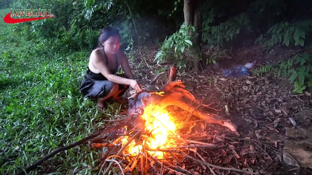 Em Gái Vào Rừng Bắt Cá Lóc Khổng Lồ Và Nướng Tại Chỗ , Làm Thế Nào Để Có Bữa ĂN Ngon Miệng
