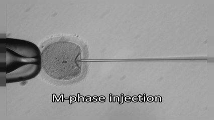 Νέος τρόπος επέμβασης στο DNA