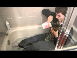 Bath Time!!! Linus Cat Tips #18