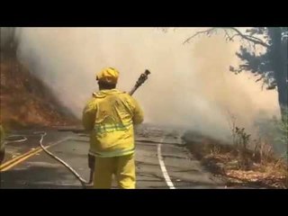 Firefighters Work to Contain Berkeley Hills Fire