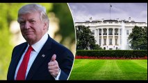 10-Year-Old Offers to Mow White House Lawn – Trump Invites Him to Meet White House Groundskeeper