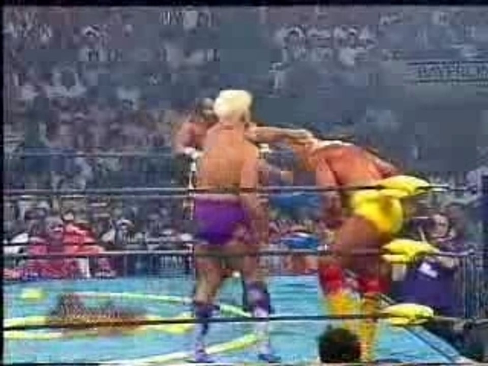Slamboree 1995 - Randy Savage & Hulk Hogan vs Ric Flair & Va - Dailymotion  Video