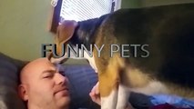 Pets Waking Up Their Owners (Part 1) ⏰ Pets As Alarm [Funny Pets]