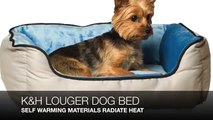 What are the best dog beds for small dogs