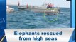 Watch Full Video 2 Elephants rescued from sea by Sri Lankan Navy