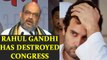 BJP President Amit Shah makes sarcastic remark on Rahul Gandhi | Oneindia News