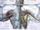 Bodybuilding - Killer Shoulder Exercises