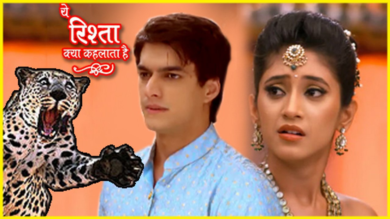 LEOPARD Attack Outside Yeh Rishta Kya Kehlata Hai Sets