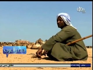 #مصر_العرب |  حلايب وشلاتين.. مثلث الخير