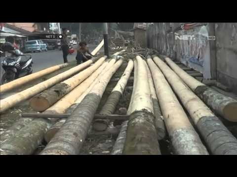 Penjual Pohon Pinang di Bekasi Menjelang 17 Agustus - NET5