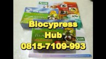 0815.7109.993 | BioCypress Yogyakarta, Biocypresss Komposisi Yogyakarta