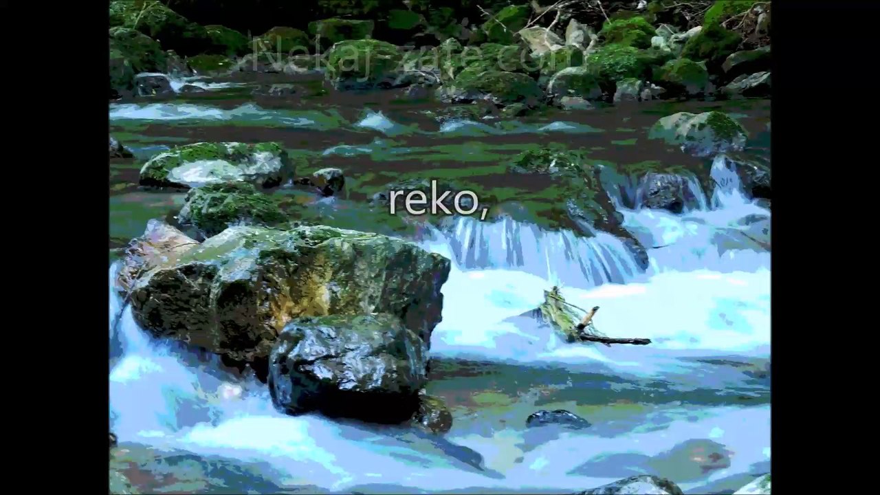 Nekoga moraš imeti rad