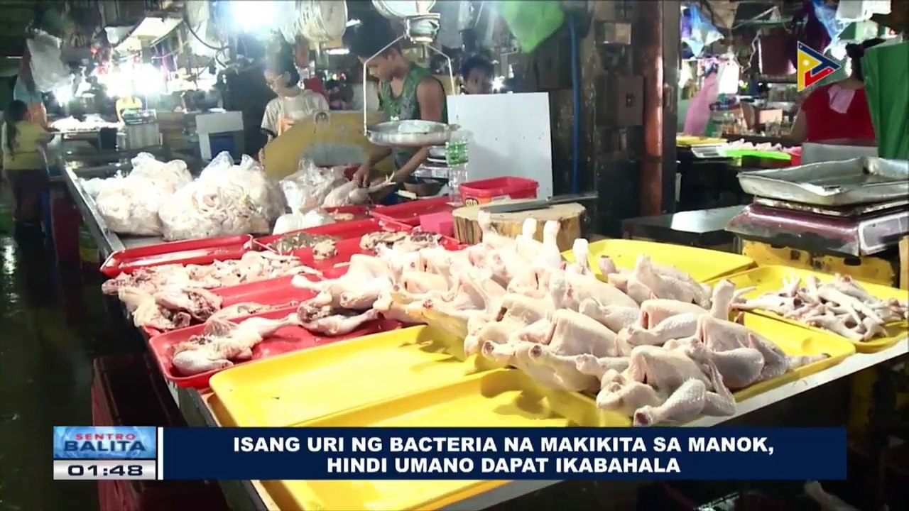 Isang uri ng bacteria na makikita sa manok, hindi umano dapat ikabahala