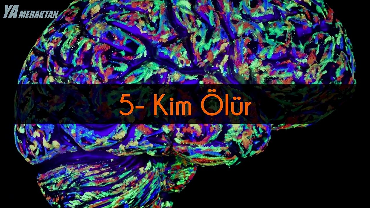 Sizi Zorlayacak 6 Kafa Karistiran Zeka Bulmacasi