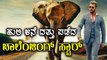 Darshan Adopted Elephant, Tiger At Mysuru Zoo | Filmibeat Kannada