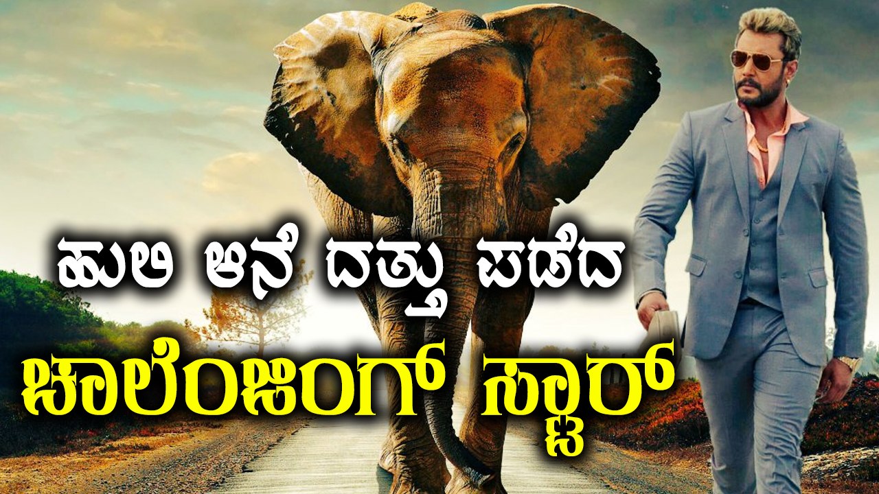 Darshan Adopted Elephant, Tiger At Mysuru Zoo |...