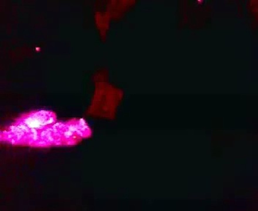 شعر شعبي ليبي ... فكاهي ... السوداني والمصري