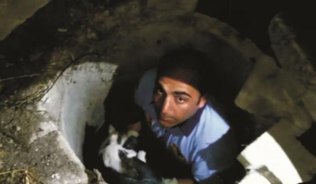 Minik kedi için gece yarısı seferberliği