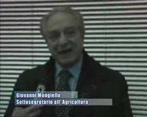 L'on. Mongiello sulla 6^ provincia - AMICA9 informa