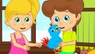 Mini Mini Bir Kuş - Sevimli Dostlar Çocuk Şarkıları | Okidokido
