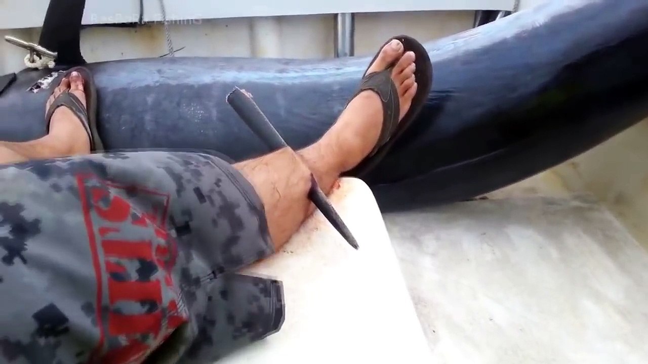Pesca Artesanal Tradicional