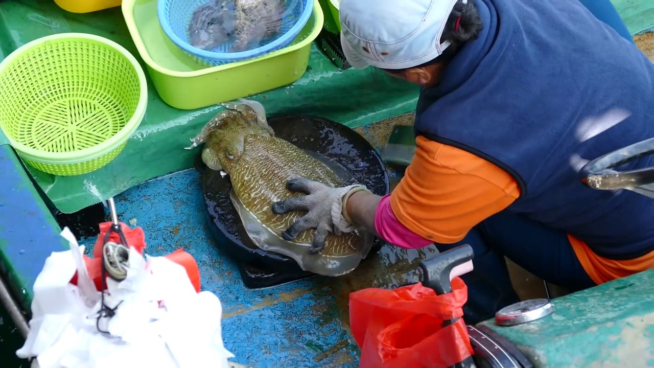 Pesca Artesanal Tradicional en Asia
