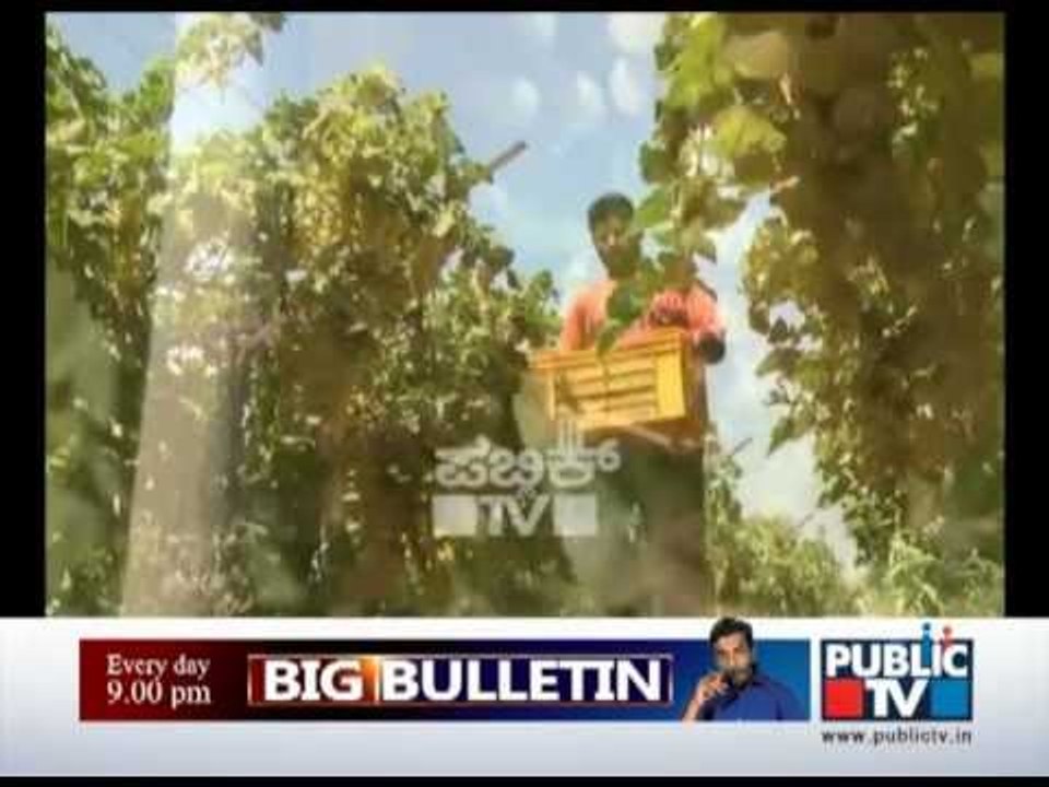 GRAPE CULTIVATION IN GADAG