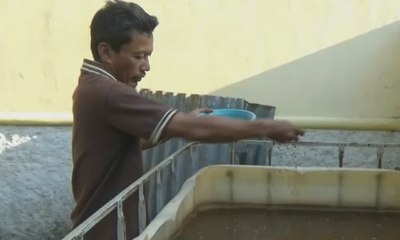 Petani Lele Manfaatkan Bakteri Baik untuk Ternak