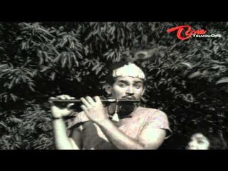 Telugu Old Songs | Sakshi Movie | Sukka Ninnu Song | Krishna | Vijaya Nirmala