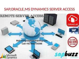 SAP REMOTE SERVER ACCESS|INDIA|USA