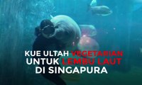 Kue Ultah Vegetarian untuk Lembu Laut di Singapura