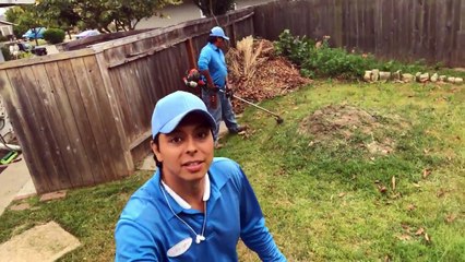 Every Other Week Landscape and Garden maintenance