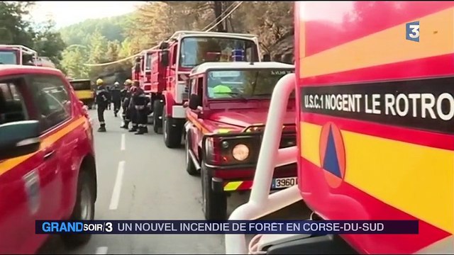 La chaleur et les incendies enflamment la Corse