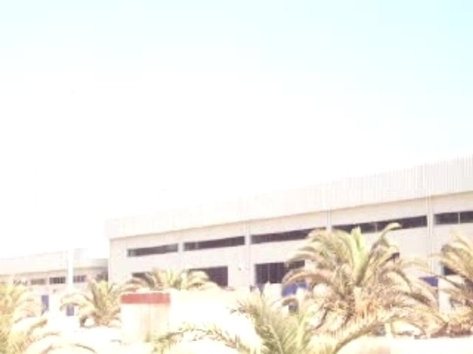 Alger